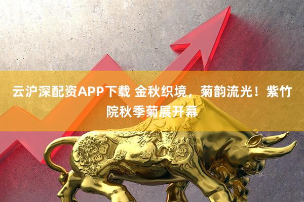 云沪深配资APP下载 金秋织境，菊韵流光！紫竹院秋季菊展开幕