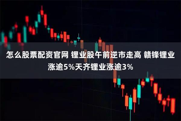 怎么股票配资官网 锂业股午前逆市走高 赣锋锂业涨逾5%天齐锂业涨逾3%