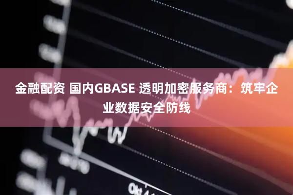 金融配资 国内GBASE 透明加密服务商：筑牢企业数据安全防线